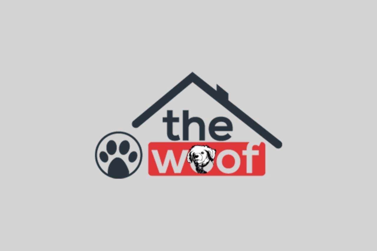 Günlük Bakım - The Woof Dog Resort