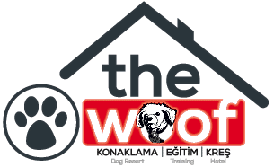 The Woof Dog Resort